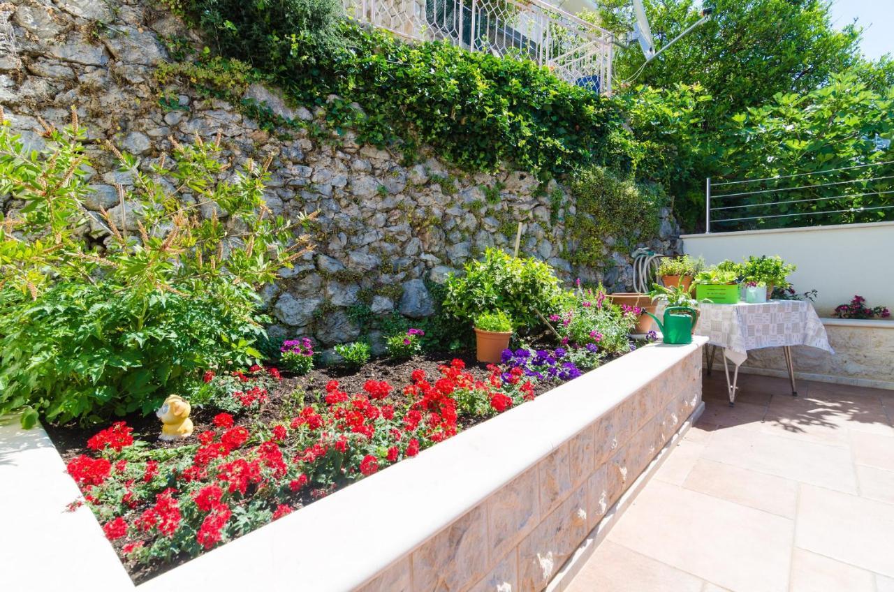 Apartments Davor Dubrovnik Extérieur photo